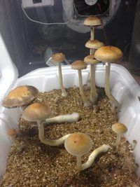 2013-09-13 18.08.03.jpg