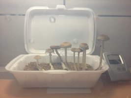 2013-09-13 18.09.28.jpg