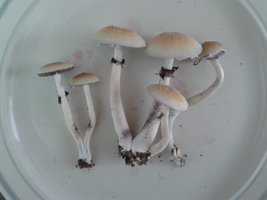2013-09-14 08.39.38.jpg