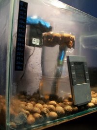 100_6032.JPG