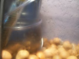 100_6041.JPG