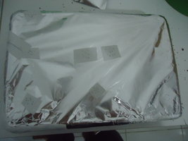 DSC03306.JPG