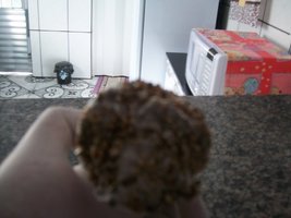 100_6070.JPG