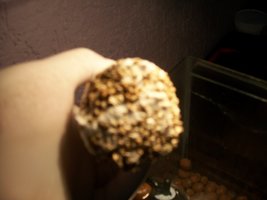 100_6072.JPG