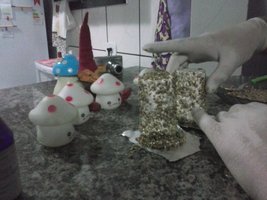 CAM00566.jpg