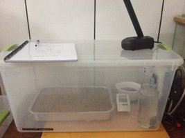 2013-09-16 20.21.25.jpg