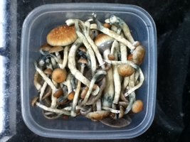 IMG_0884.JPG