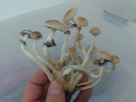 2013-09-18 12.19.41.jpg