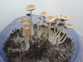 2013-09-19 07.06.15.jpg