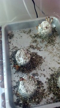 2013-09-19_14-01-59_851.jpg