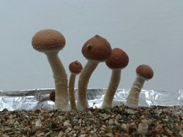 2013-08-15 22.32.28.jpg