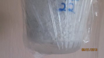 IMG_1616.jpg