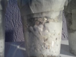 CAM00643.jpg