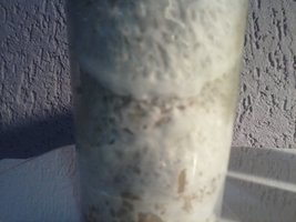 CAM00644.jpg