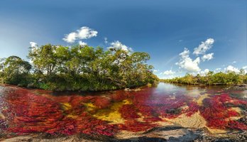 cano-cristales-colombia.jpg