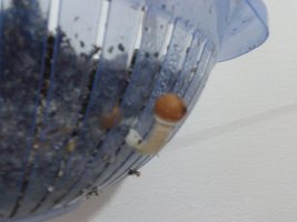 2013-09-23 20.13.59.jpg