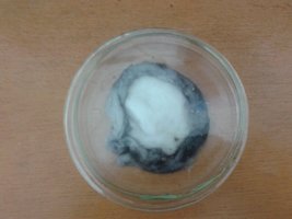 2013-09-23 20.48.42.jpg