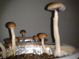 2013-06-08 20.00.31.jpg