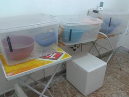 2013-09-25 15.26.40.jpg