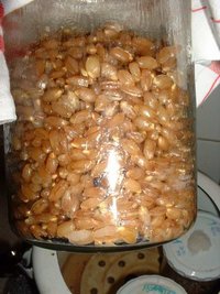 awww.fungifun.org_images_grain_rye5.jpg