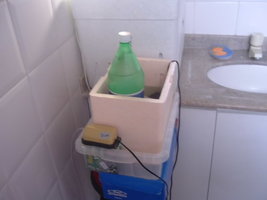 ai5.photobucket.com_albums_y197_kiqstar_cultivo_20pesa_20211006_DSCF0765.jpg
