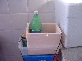 ai5.photobucket.com_albums_y197_kiqstar_cultivo_20pesa_20211006_DSCF0773.jpg