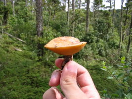 aimg.photobucket.com_albums_v153_tatuih_IMG_0444.jpg