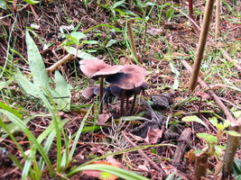 aimg.photobucket.com_albums_v153_tatuih_IMG_0636.jpg