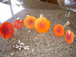 aimg.photobucket.com_albums_v40_little_BeR_P1010373_1.jpg