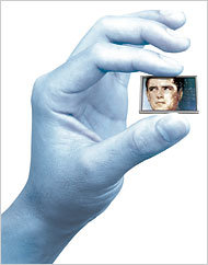 agraphics8.nytimes.com_images_2007_08_13_science_tier.190.2.jpg