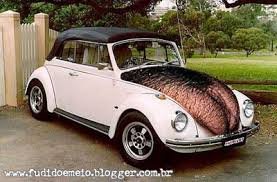 atbn0_google_com_images_0224f4dd68791dc1c03c0d0c9318fe39._.jpg