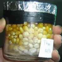 ai210.photobucket.com_albums_bb130_mucosa_Copo2.jpg