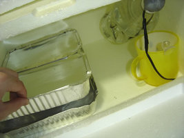 ai210.photobucket.com_albums_bb130_mucosa_100001.jpg