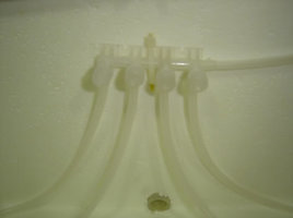 ai210.photobucket.com_albums_bb130_mucosa_Terrario002.jpg