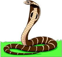 awww.rangerdj.com_clipart_animals_cobra.jpg