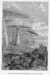 ajv.gilead.org.il_evans_illustr_pics_19_mush.jpg