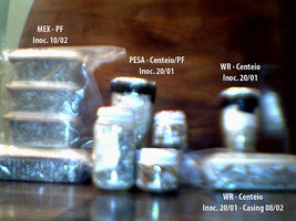 afarm3.static.flickr.com_2298_2255227387_434308f8e3.jpg
