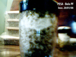 afarm3.static.flickr.com_2088_2256024798_083d097f93.jpg