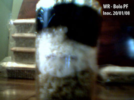 afarm3.static.flickr.com_2345_2256024974_ff204ff036.jpg
