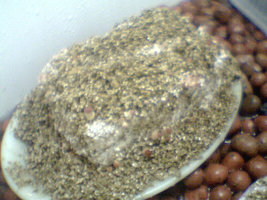 afarm3.static.flickr.com_2061_2350114134_285aaa5a4e.jpg