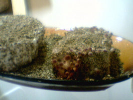 afarm4.static.flickr.com_3110_2378392053_cee7c888b9.jpg