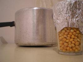 afarm3.static.flickr.com_2387_2293114152_e42fa19cb0.jpg