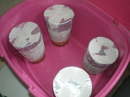 afarm4.static.flickr.com_3150_2293109650_b100ea1775.jpg