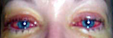 afarm3.static.flickr.com_2147_2332315349_1629fc1405_o.jpg