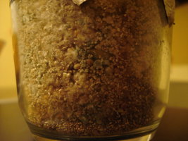 ai195.photobucket.com_albums_z123_NeoRamza_DSC04079.jpg