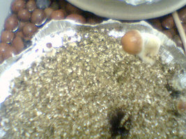 afarm4.static.flickr.com_3093_2515526772_edecd1abd7.jpg