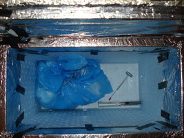 ai195.photobucket.com_albums_z123_NeoRamza_DSC04495.jpg