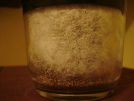 ai195.photobucket.com_albums_z123_NeoRamza_DSC04457.jpg