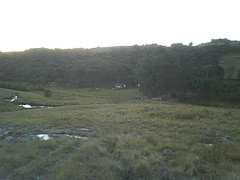 afarm4.static.flickr.com_3275_2587994559_66db850721_m.jpg