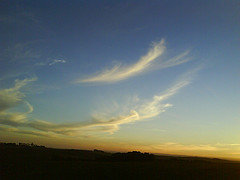 afarm4.static.flickr.com_3134_2588828848_44658a3a50_m.jpg